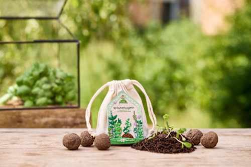 Seedbombs Küchenkräuter Die Stadtgärtner