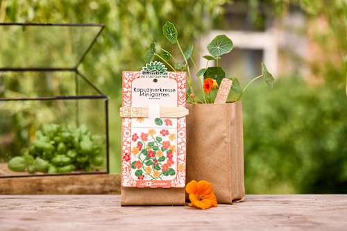 Minigarten, Kapuzinerkresse Die Stadtgärtner