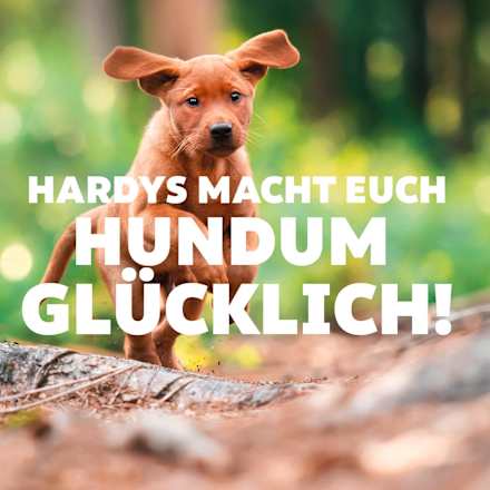 Nassfutter Hund Sensitiv mit Huhn, Multipack (6x400 g) Hardys Traum