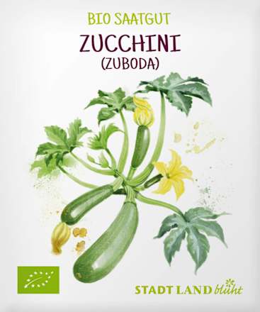 Saaten, Zucchini (Zuboda) Stadt Land blüht