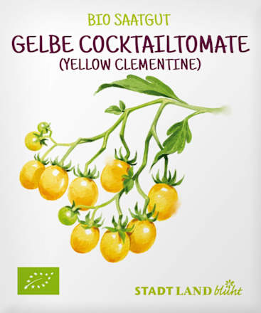 Saaten, Gelbe Cocktailtomate (Yellow Clementine) Stadt Land blüht