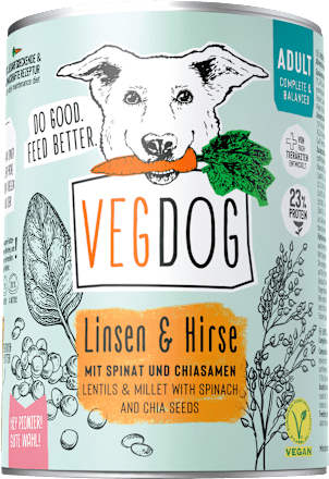 Nassfutter Hund mit Linsen, Hirse, Spinat & Chia VEGDOG