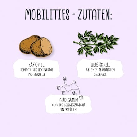 Kausnack Hund mit Liebstöckel & Glucosamin, Mobilities VEGDOG