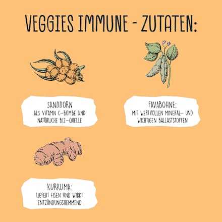 Hundeleckerli mit Favabohne, Sanddorn & Kurkuma, Veggies immune  VEGDOG