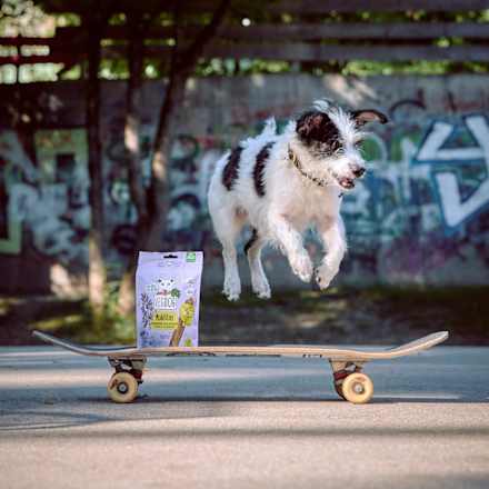 Kausnack Hund mit Liebstöckel & Glucosamin, Mobilities VEGDOG