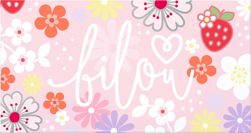 Geschenkset Duschschaum bilou