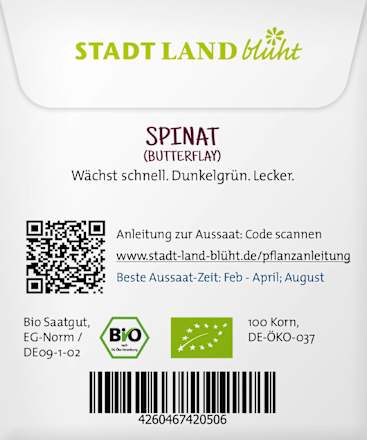 Saaten, Spinat (Butterflay) Stadt Land blüht