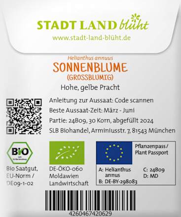 Saaten, Sonnenblume (grossblumig) Stadt Land blüht