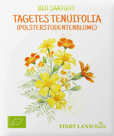 Saatgut Tagetes Tenuifolio Samen (Polsterstudentenblume) Stadt Land blüht