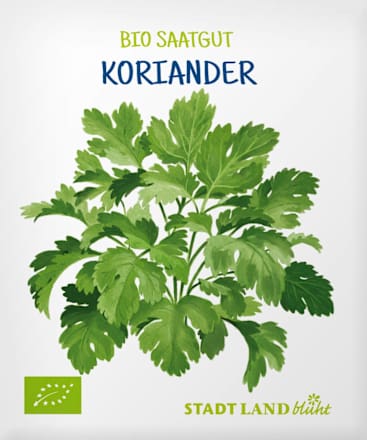 Saaten, Koriander Stadt Land blüht