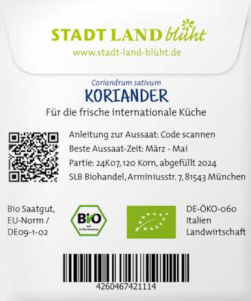 Saaten, Koriander Stadt Land blüht