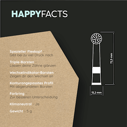 Aufsteckbürsten Eco R2 all Black happybrush