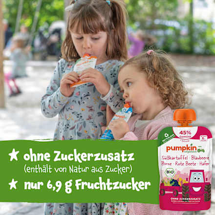 Quetschie Süßkartoffel, Blaubeere, Birne, Rote Beete & Hafer ab 6 Monaten pumpkin organics