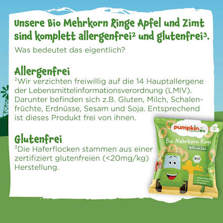Babysnack Mehrkorn Ringe mit Apfel & Zimt ab 8. Monat pumpkin organics