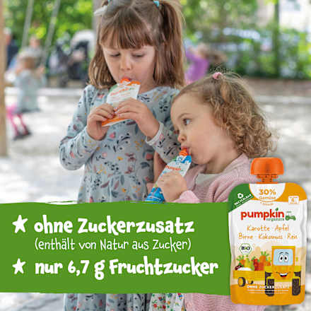 Quetschie Karotte, Apfel, Birne, Kokos & Reis, ab 6 Monaten pumpkin organics