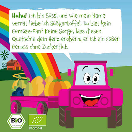 Quetschie Kürbis, Süßkartoffel, Birne, Banane & Blaubeere, ab 6 Monaten pumpkin organics