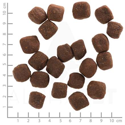 Trockenfutter Hund mit Lamm, Lachs & Kartoffel, green valley, Adult Wolfsblut