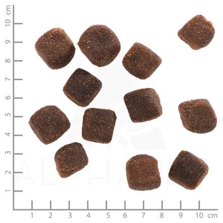 Hundeleckerli mit Wild & Süßkartoffel, dark forest Squashies  Wolfsblut