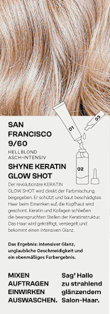 Haarfarbe 9/60 San Francisco Hellblond Asch-Intensiv SHYNE Professional