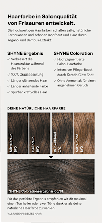 Haarfarbe 66/81 Singapore Hellbraun Asch-Intensiv SHYNE Professional