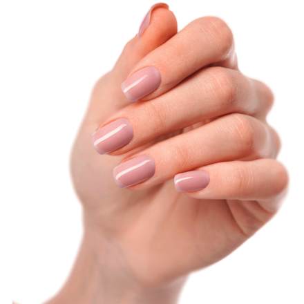 UV Gel Nagelfolien Rosie Sheer Maniko