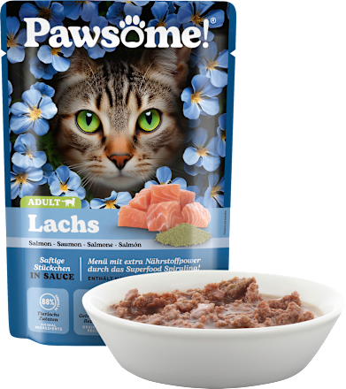 Nassfutter Katze mit Lachs Pawsome