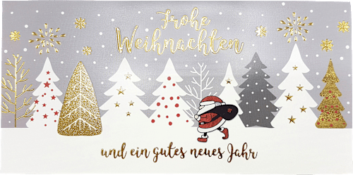 Grußkarten-Set mit Weihnachtsmotiven in rot CACTUS