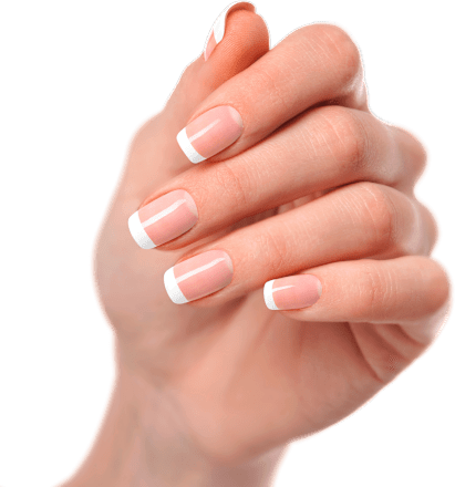 UV Nagelfolien Classic French Maniko