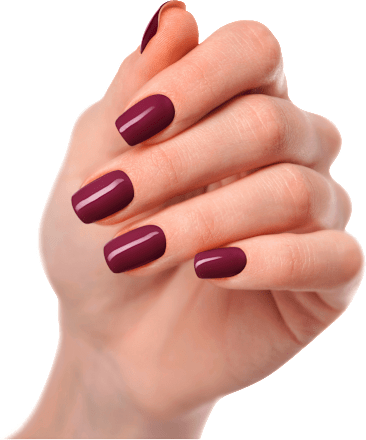 Starterset X-Mas Maniko