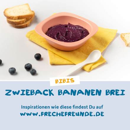 Abendbrei Apfel, Zimt mit Hafer, ab dem 8.Monat Freche Freunde