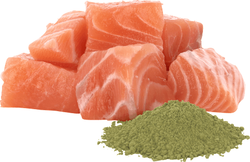 Nassfutter Katze mit Lachs Pawsome