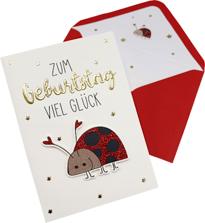 Grußkarte Geburtstag Marienkäfer CACTUS