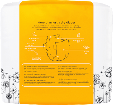 Windeln Gr. 5 (11-16 kg), Monatsbox Lillydoo