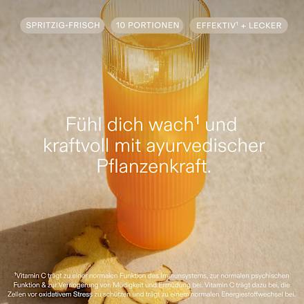 10-Tage-Trinkkur Ayurveda Wildkräuterauszug kruut