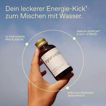 10-Tage-Trinkkur Ayurveda Wildkräuterauszug kruut