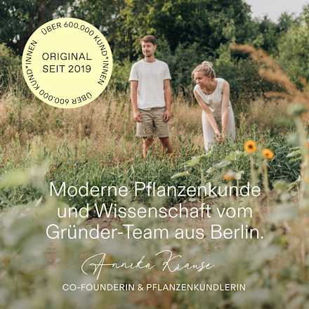 10-Tage-Trinkkur Ayurveda Wildkräuterauszug kruut