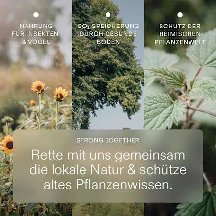 10-Tage-Trinkkur Ayurveda Wildkräuterauszug kruut