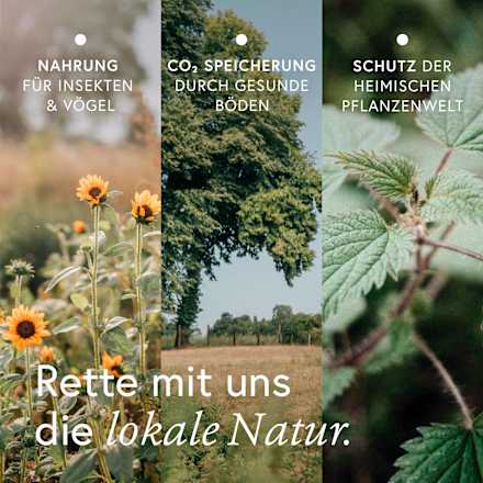 Bitter Wildkräuter-Shot kruut