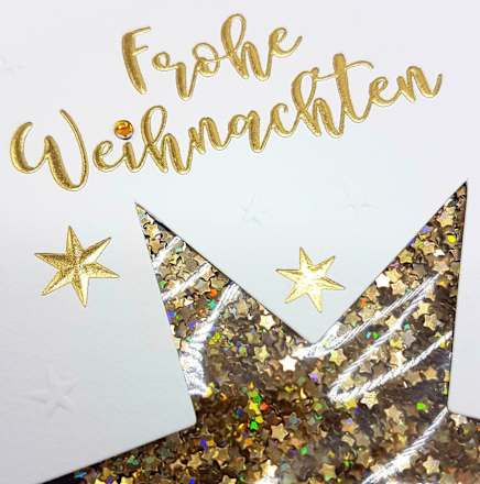 Grußkarte Premium Silber X-MAS Schüttel Stern  CACTUS