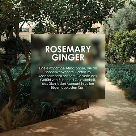 Geschenkset Body Ceremony Rosemary Ginger 2tlg Jean&Len