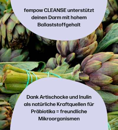 fempow Cleanse fembites