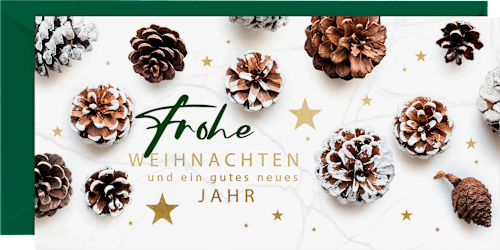 Grußkarten-Set mit Weihnachtsmotiven in grün CACTUS