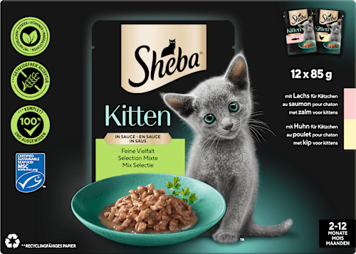 Nassfutter Katze Kitten mit Lachs & Huhn, feine Vielfalt in Sauce, Junior Multipack (12x85 g) Sheba