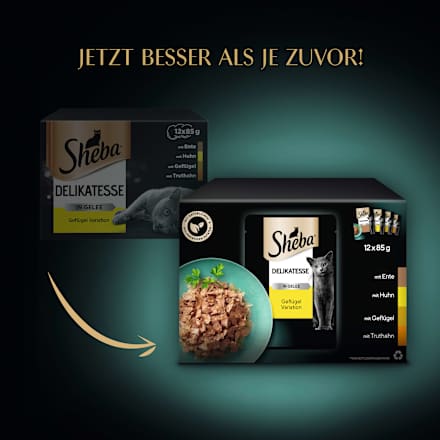 Nassfutter Katze, Delikatesse in Gelee - Geflügel Variation, Multipack (12x85 g) Sheba