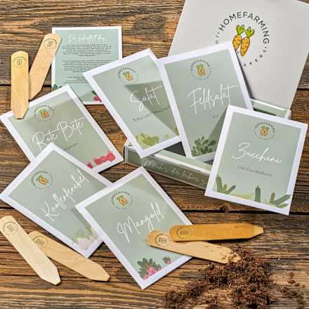 Saatgutbox, Gemüse für Anfänger (15x19,8x4,3 cm) keine Marke