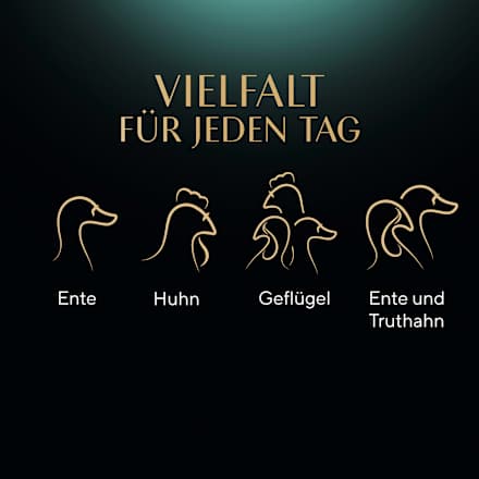 Nassfutter Katze, Huhn, Ente & Truthahn, Selection in Sauce - Geflügel Variation, Multipack (12x85 g) Sheba