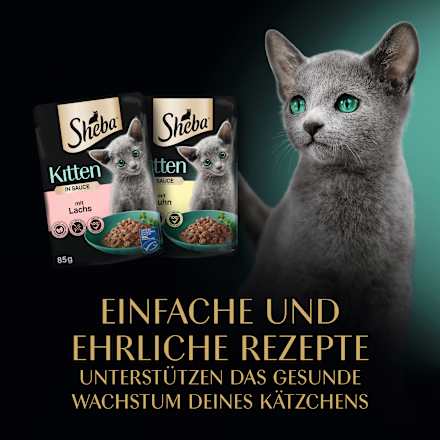 Nassfutter Katze Kitten mit Lachs & Huhn, feine Vielfalt in Sauce, Junior Multipack (12x85 g) Sheba