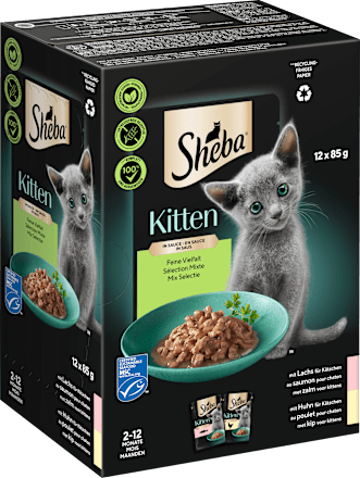 Nassfutter Katze Kitten mit Lachs & Huhn, feine Vielfalt in Sauce, Junior Multipack (12x85 g) Sheba