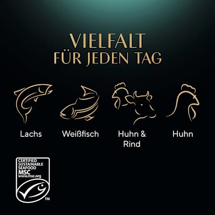 Nassfutter Katze, Huhn, Rind, Lachs & Weißfisch, Selection in Sauce - feine Vielfalt, Multipack (12x85 g) Sheba