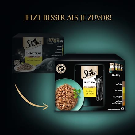 Nassfutter Katze, Huhn, Ente & Truthahn, Selection in Sauce - Geflügel Variation, Multipack (12x85 g) Sheba